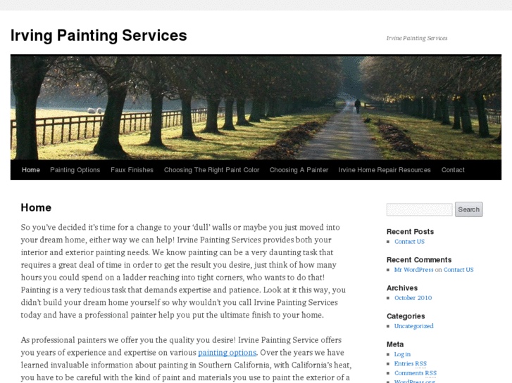 www.irvinepaintingservices.com