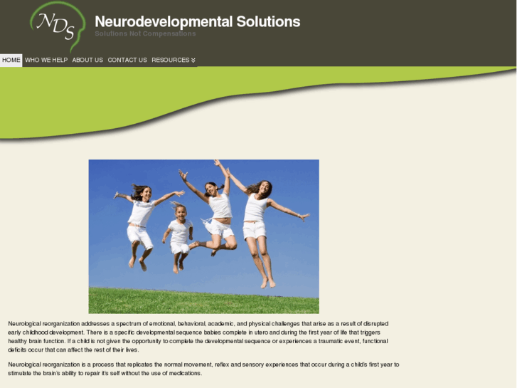 www.neurosolutions.org