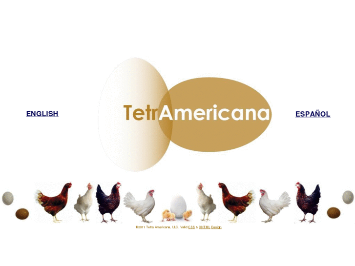 www.tetraamericana.com