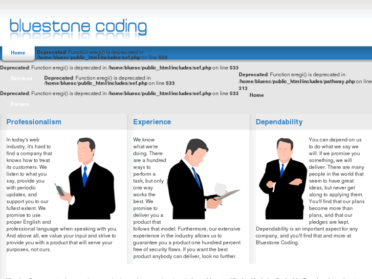 www.bluestonecoding.com