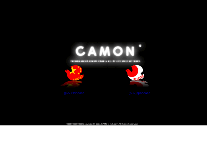 www.camon-net.com