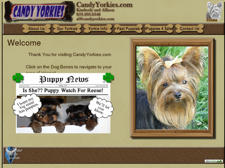 www.candyyorkies.com