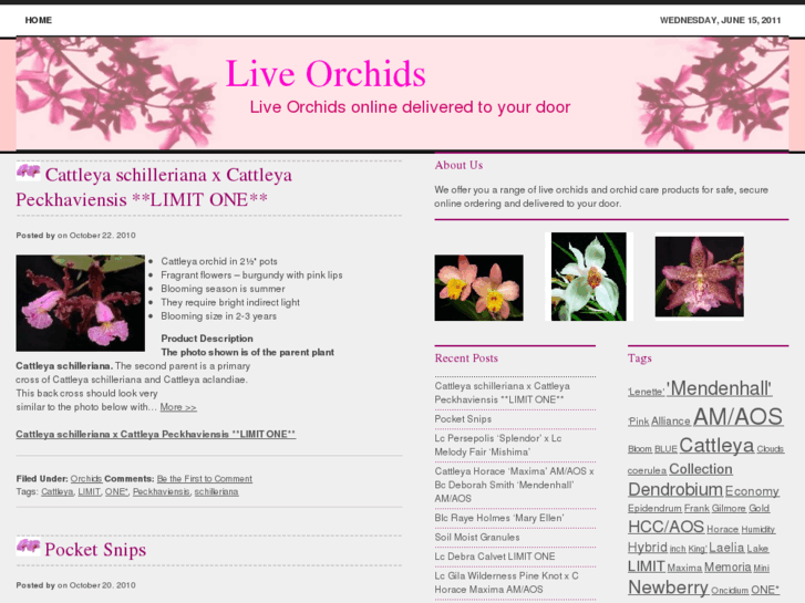 www.liveorchids.com