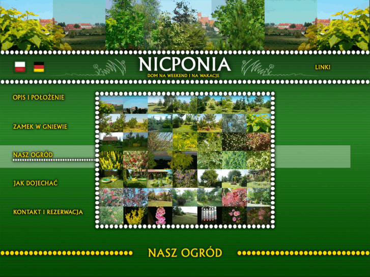 www.nicponia.com