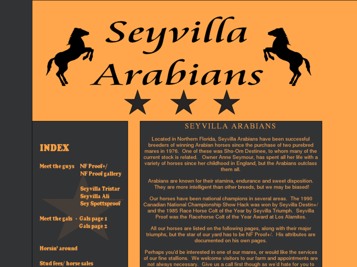 www.seyvilla.com