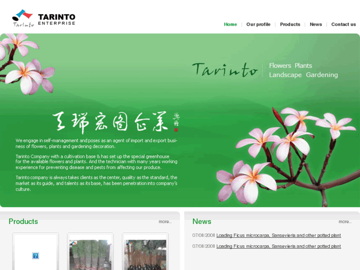 www.tarinto.net