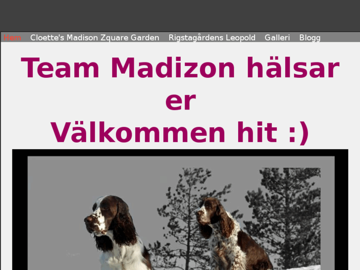 www.team-madizon.com