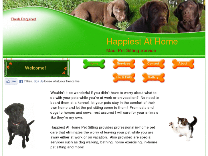 www.amauipetsitter.com