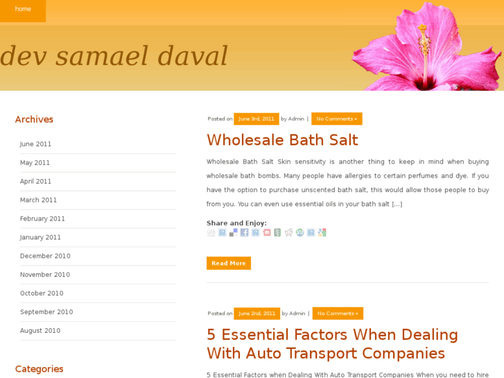 www.devsamaeldaval.com