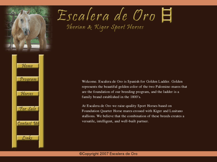 www.escaleradeoro.com