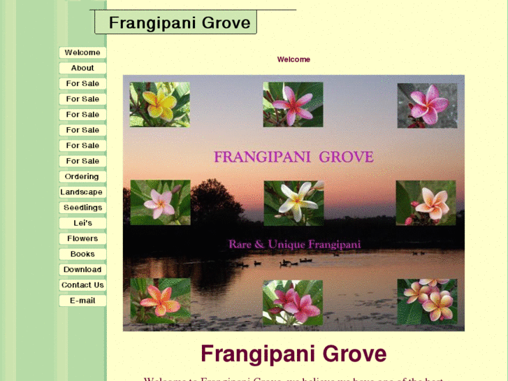 www.frangipanigrove.com