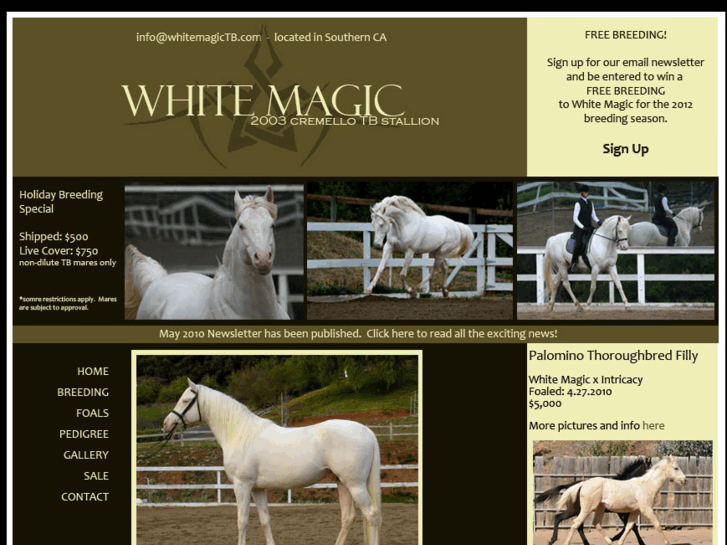 www.whitemagictb.com