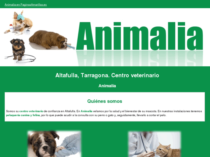 www.clinicaanimalia.com