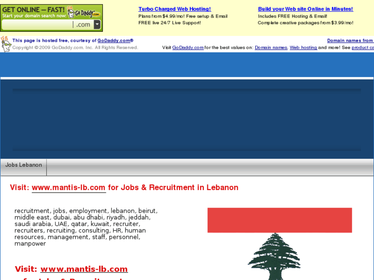 www.jobs-lebanon.com