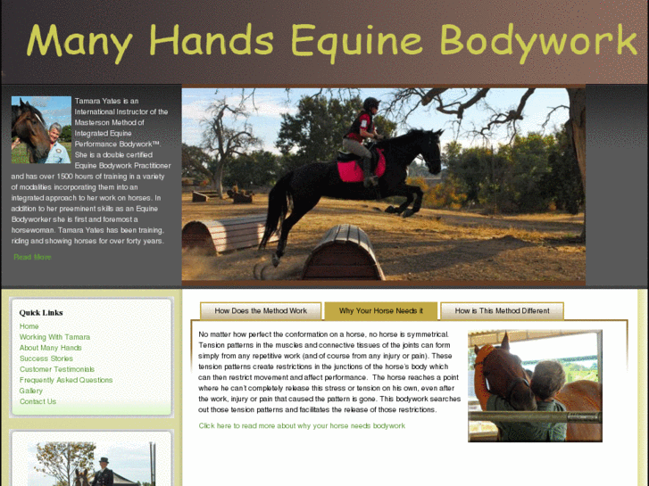 www.manyhandsequinebodywork.com