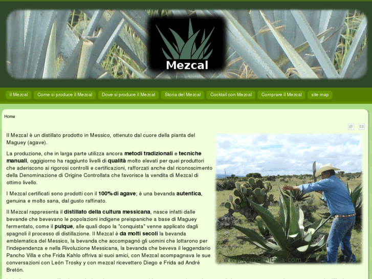 www.mezcal-italia.com