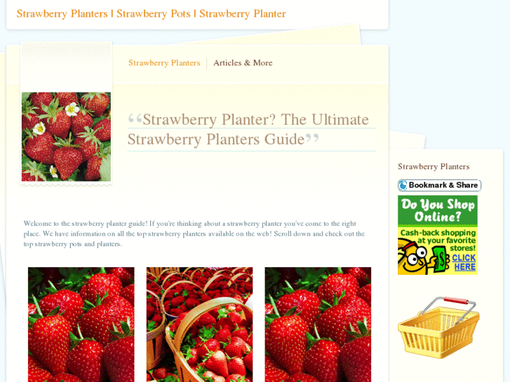 www.strawberryplanters.net