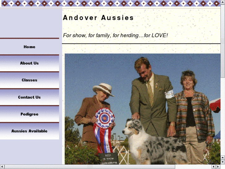 www.andoveraussies.com