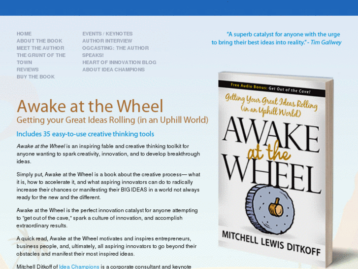 www.awakeatthewheel.info