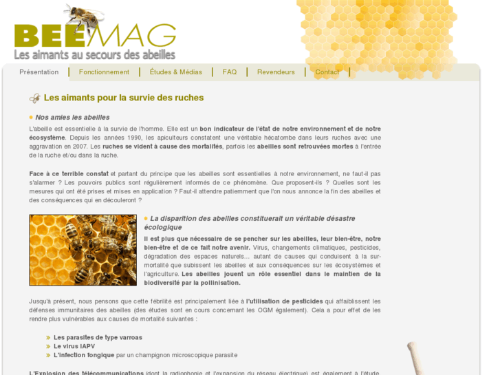 www.beemag.org