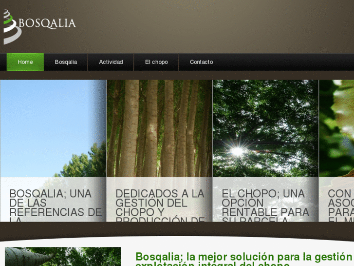 www.bosqalia.com