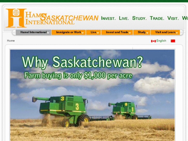 www.hamelinternational.com