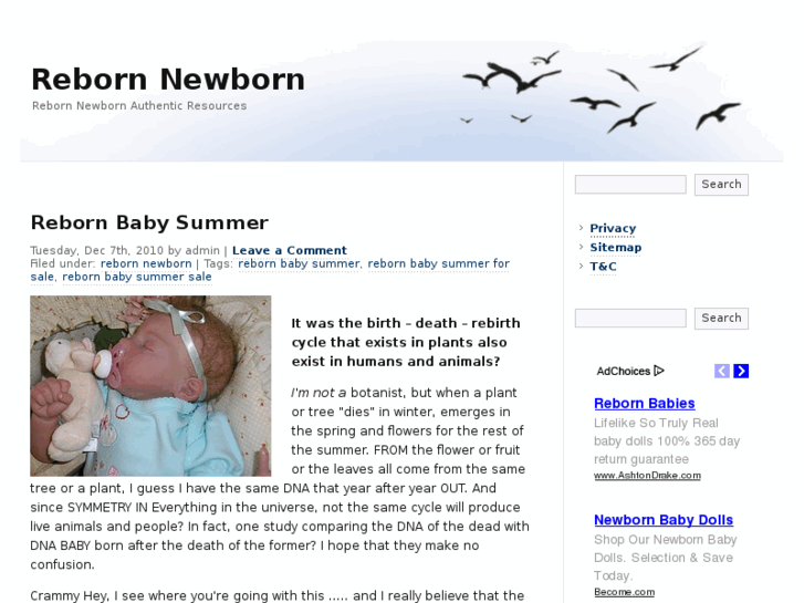 www.rebornnewborn.net