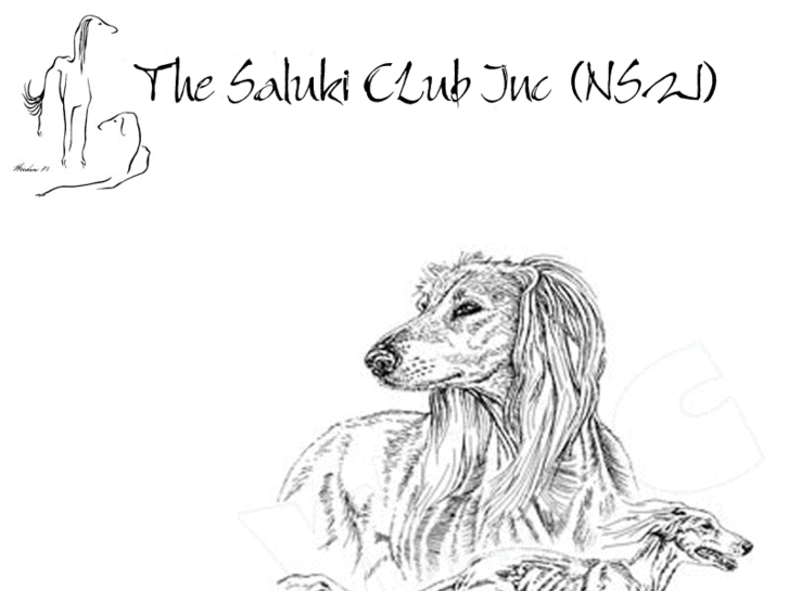 www.salukiclub.com