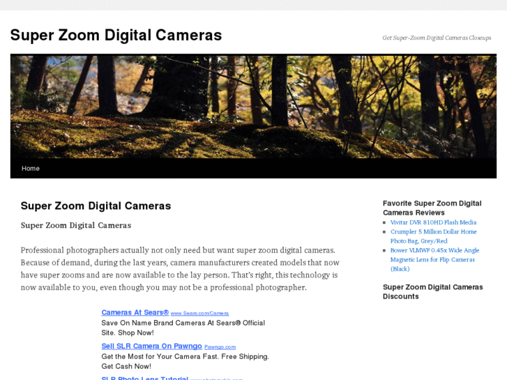 www.superzoomdigitalcameras.org