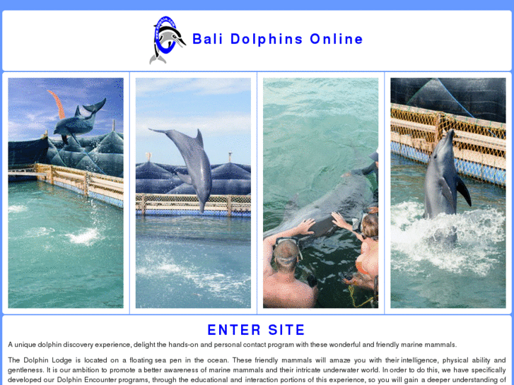 www.balidolphinlodge.com