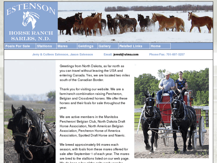 www.estensonpercheronhorses.com