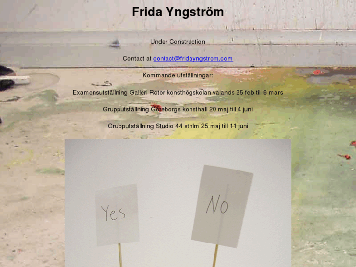 www.fridayngstrom.com