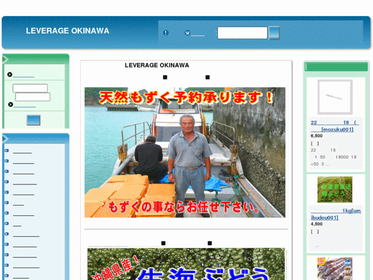 www.leverage-okinawa.jp