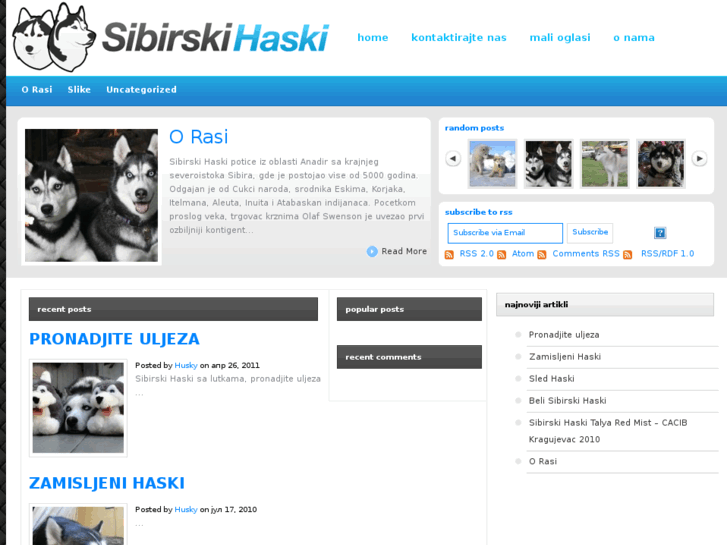 www.sibirskihaski.org