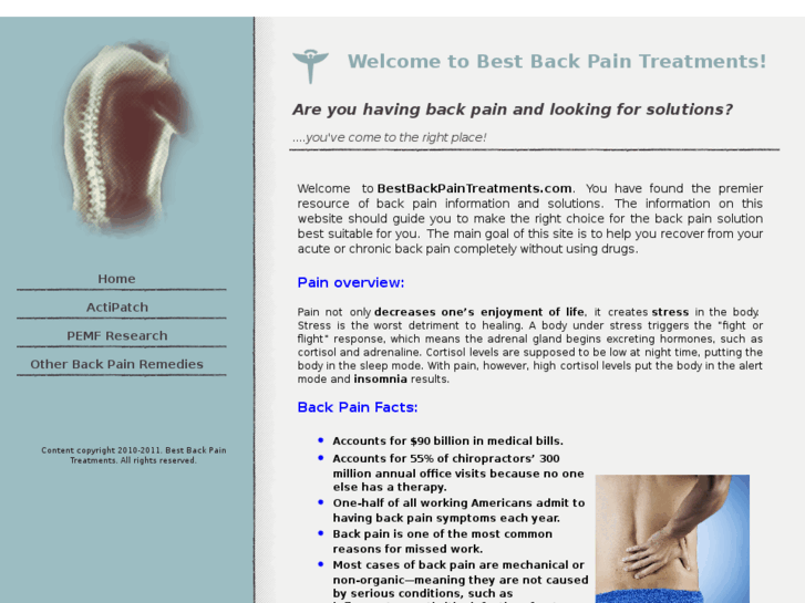 www.bestbackpaintreatments.com