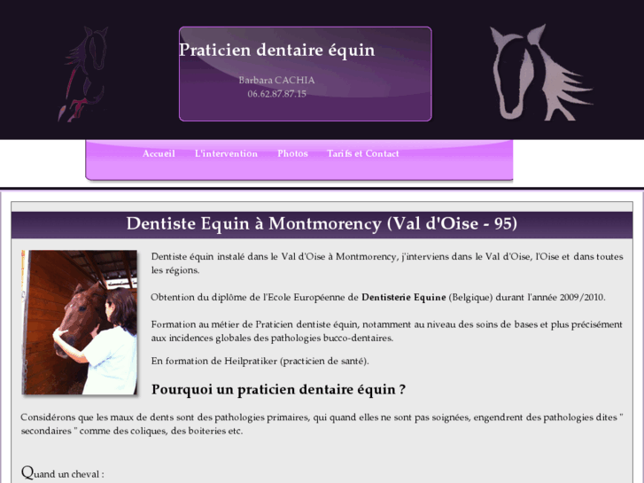 www.praticien-dentaire-equin-95.com