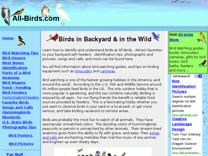 www.all-birds.com