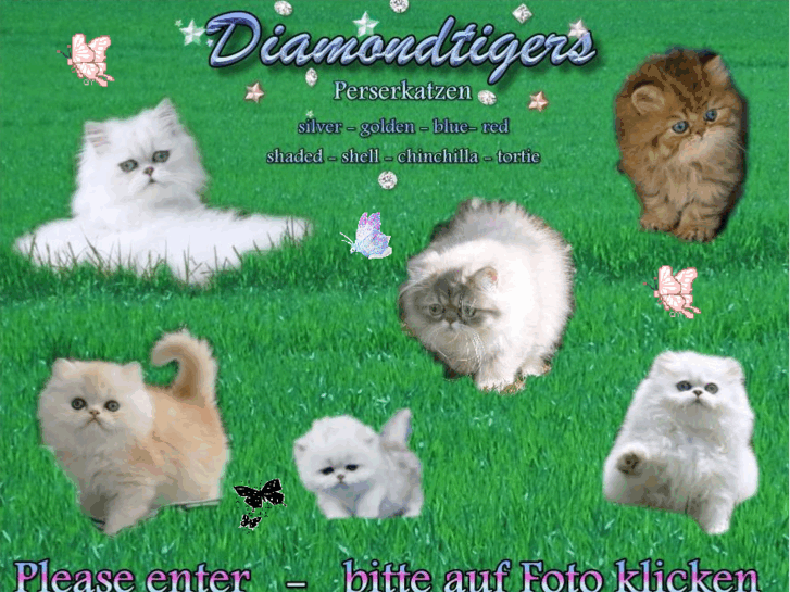 www.diamond-tigers.com