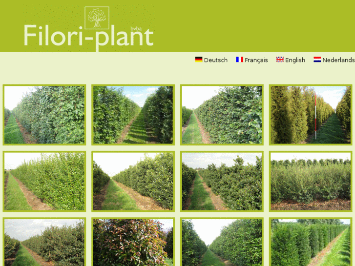 www.filori-plant.be