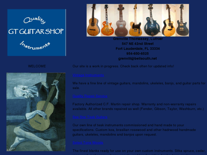 www.gtguitarshop.com