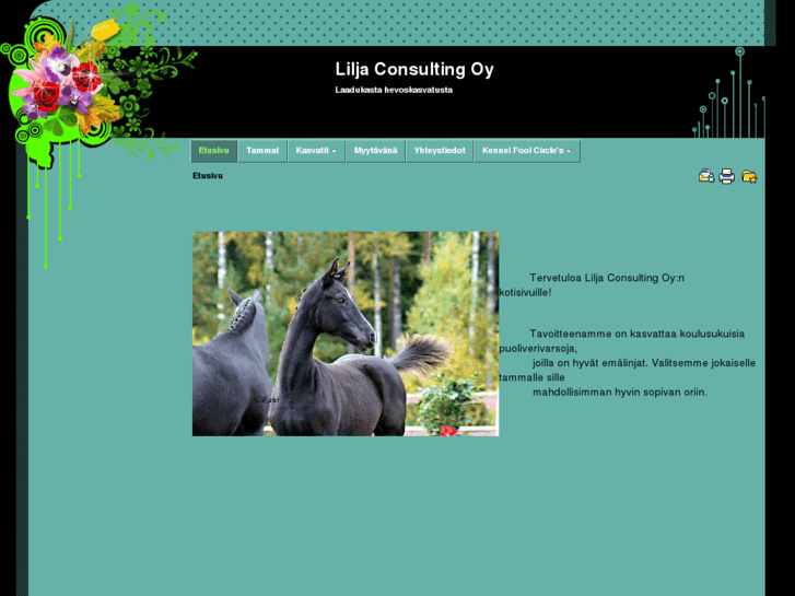 www.liljahorses.com