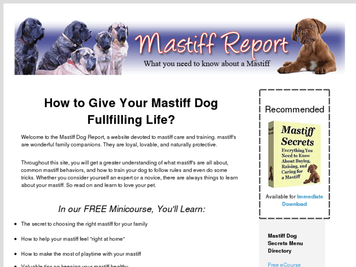 www.mastiffreport.com