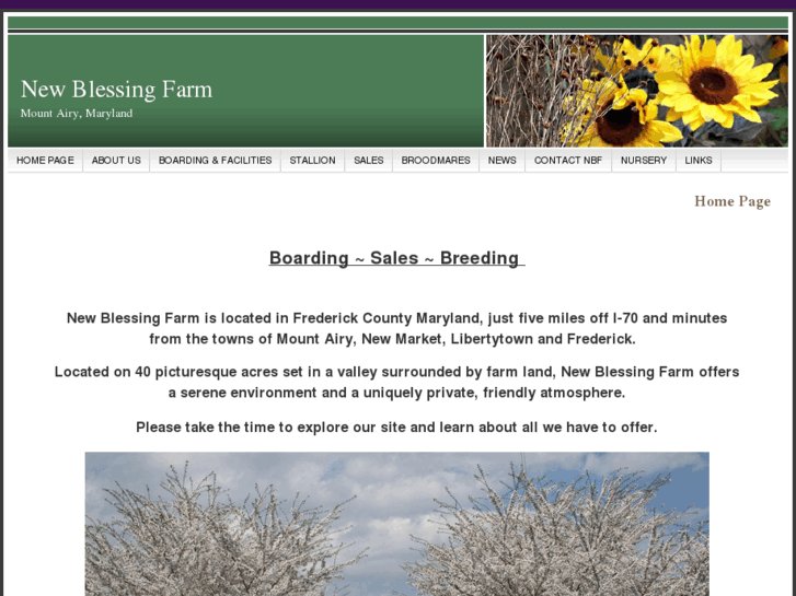 www.newblessingfarm.com