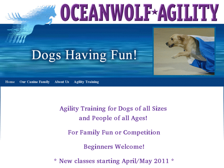 www.oceanwolf.net