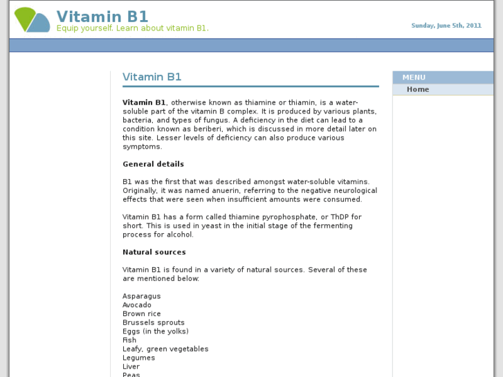 www.vitaminb1.org