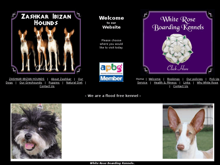 www.whiteroseboardingkennels.com