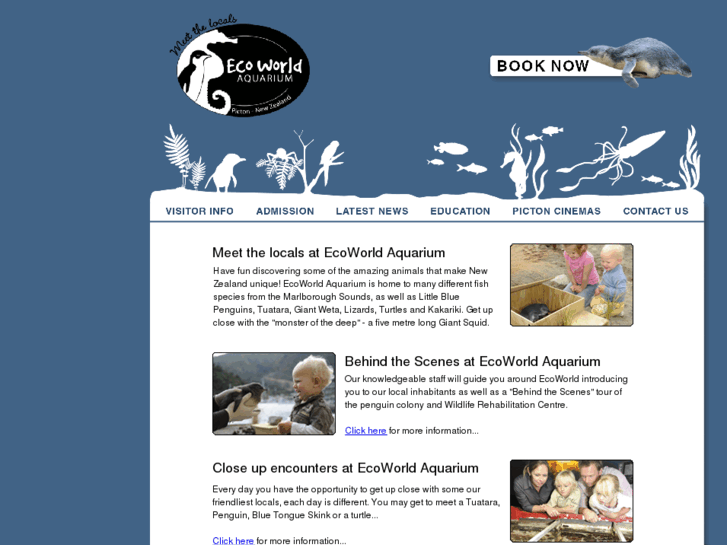 www.ecoworldnz.co.nz