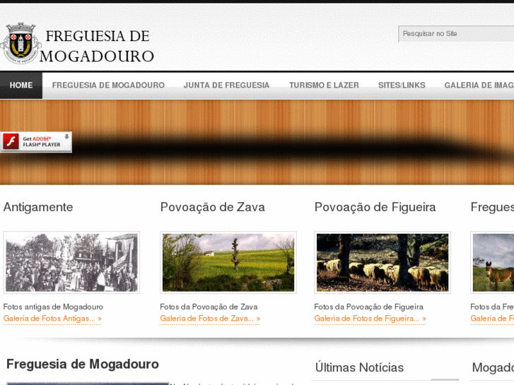 www.freguesiademogadouro.com