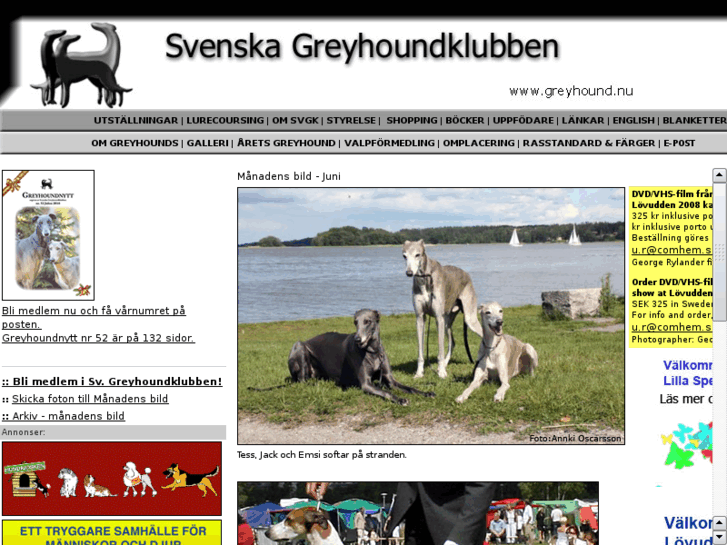 www.greyhounds.se