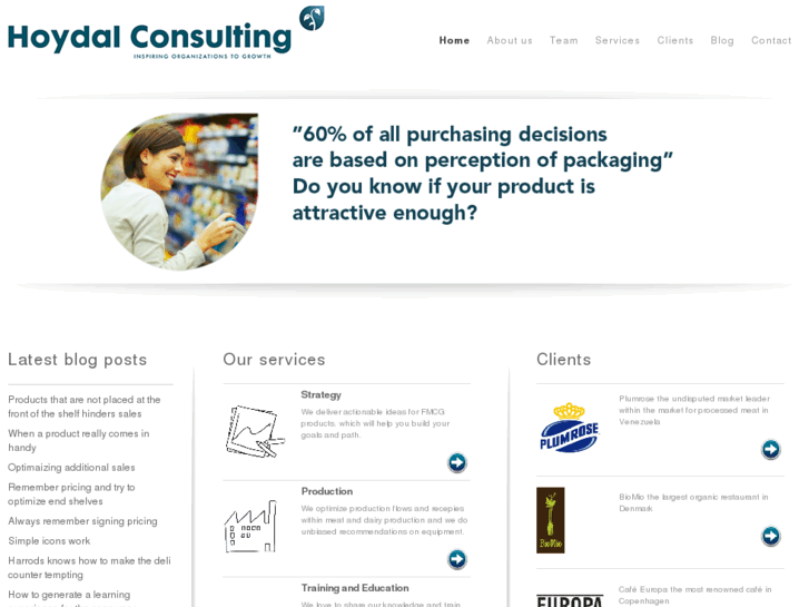 www.hoydalconsulting.com